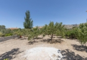 Sòl urbà en venda a la España, Arenas del Rey, ref.: TR237867 foto