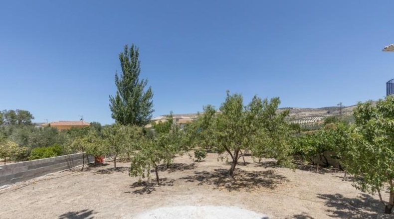 Granada - Arenas del Rey - 567m2