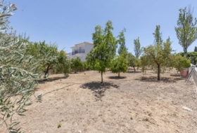 Arenas del Rey 567&nbsp;m² 
