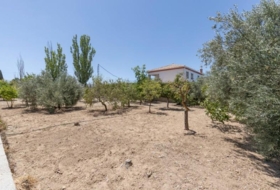 Arenas del Rey 567&nbsp;m² 