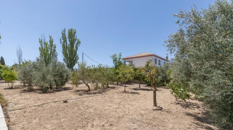 Granada - Arenas del Rey - 567m2