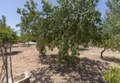 Sòl urbà en venda a la España, Arenas del Rey, ref.: TR237867 foto