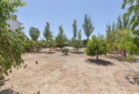 Arenas del Rey 567&nbsp;m² 