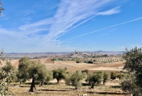 Fuente Obejuna 14386&nbsp;m² 
