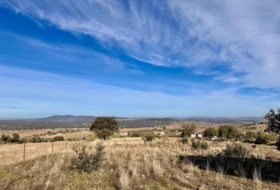 Fuente Obejuna 14386&nbsp;m² 