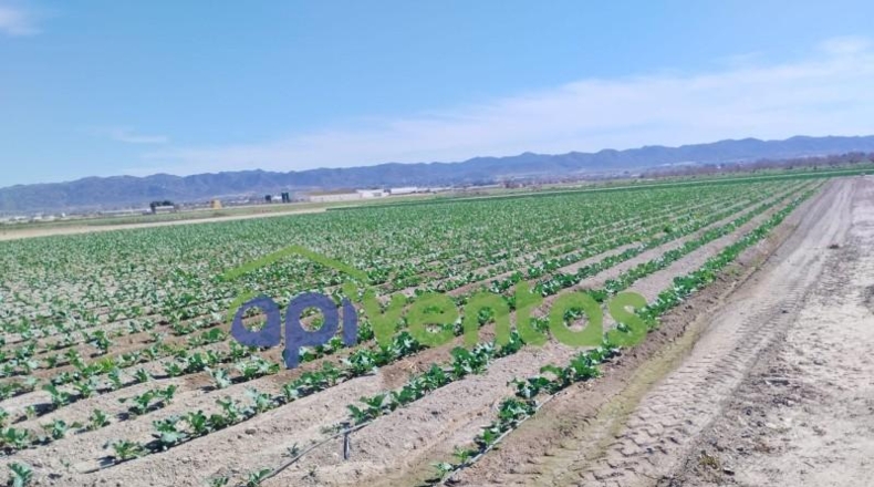 Murcia - Lorca - 5010m2
