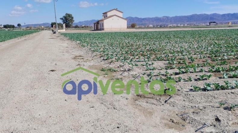 Murcia - Lorca - 5010m2