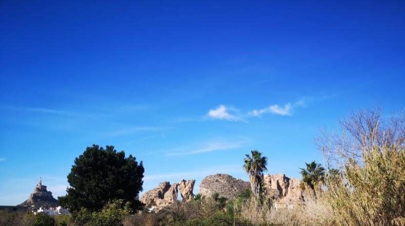 Múrcia - Múrcia - 4470m2