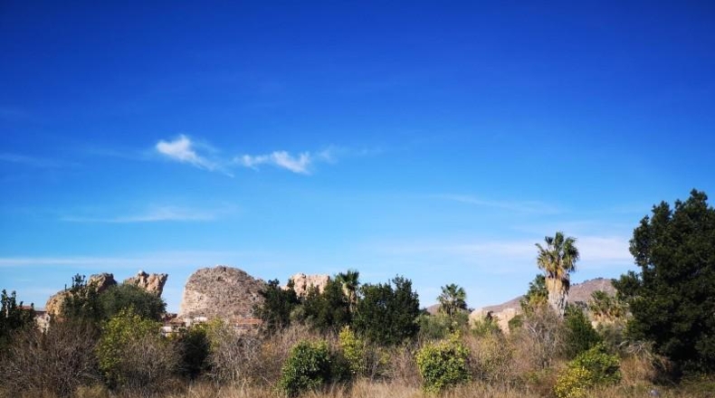 Múrcia - Múrcia - 4470m2