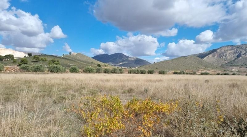 Murcia - Abanilla - 18399m2
