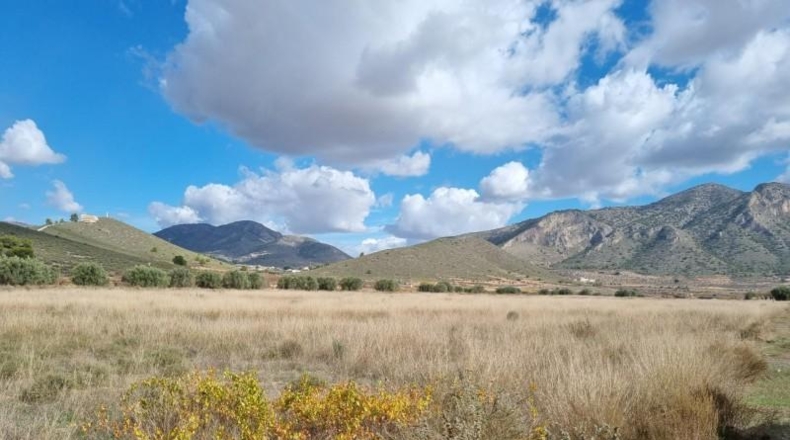 Murcia - Abanilla - 18399m2