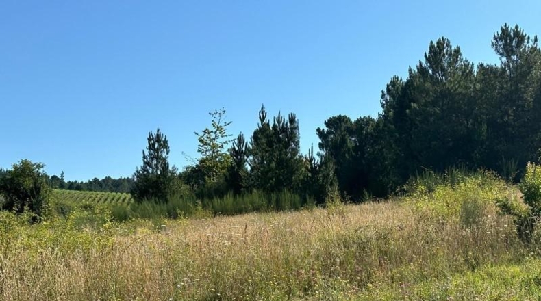 León - Arganza - 7520m2