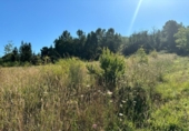 Suelo urbano en venta en la España, Arganza, ref: TR166283 foto