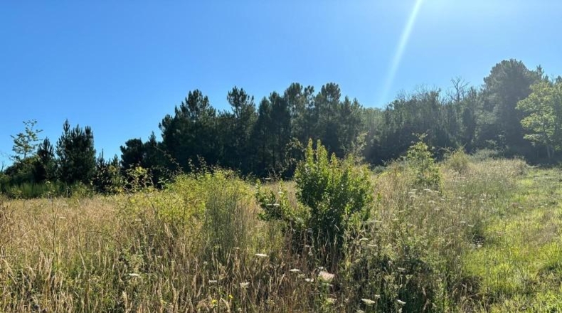 León - Arganza - 7520m2