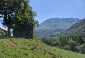 Foto 12