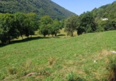 Village house for sale on España, Arredondo, ref: TR302897 photo