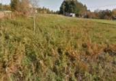 Terreno no urbanizable en venta en la España, Miñovedro, ref: TR165444 foto
