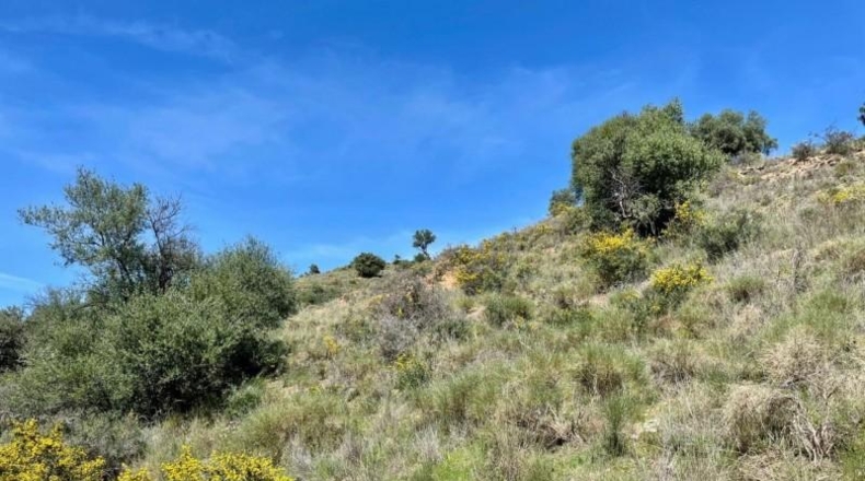 Málaga - Coín - 33215m2