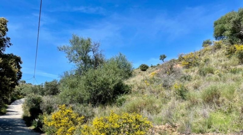 Málaga - Coín - 33215m2