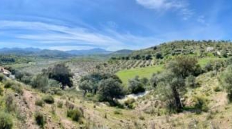 Málaga - Coín - 33215m2