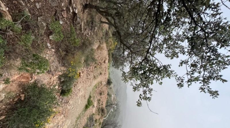 Málaga - Coín - 33215m2