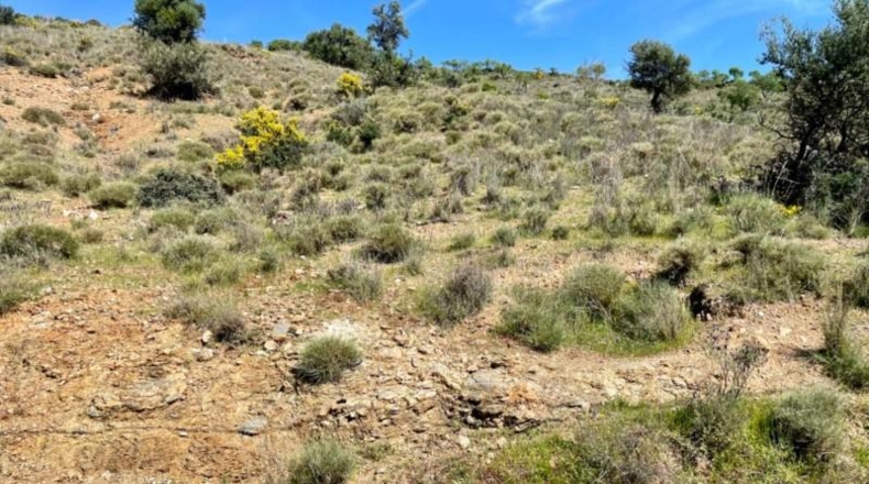 Málaga - Coín - 33215m2