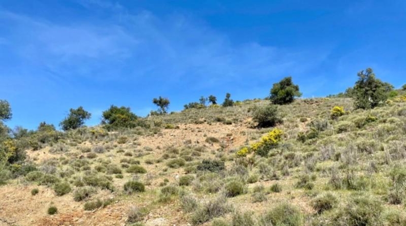 Málaga - Coín - 33215m2