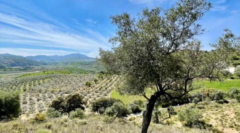 Málaga - Coín - 33215m2