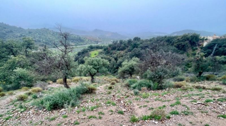 Málaga - Coín - 33215m2