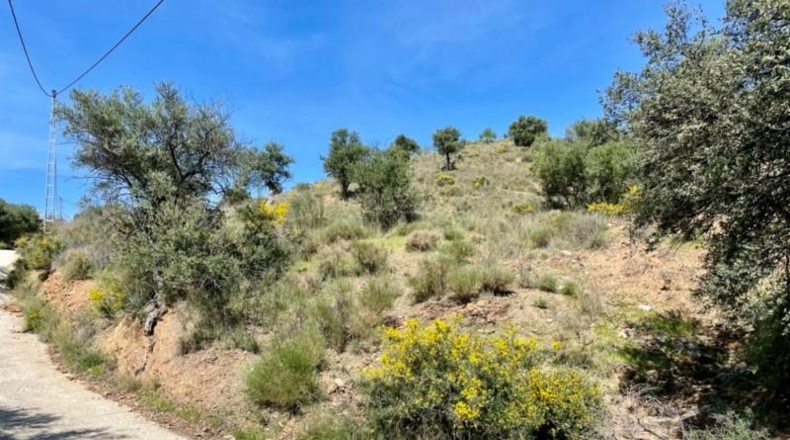 Málaga - Coín - 33215m2