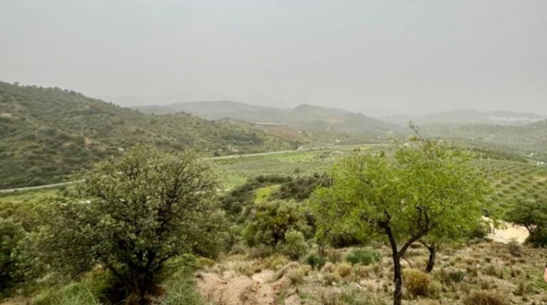 Málaga - Coín - 33215m2