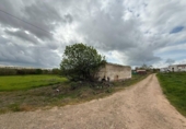 Xalet independent amb terreny en venda a la España, San Rafael de Olivenza, ref.: TR282218 foto