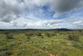 San Rafael de Olivenza 6440&nbsp;m² 