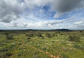 Xalet independent amb terreny en venda a la España, San Rafael de Olivenza, ref.: TR282218 foto