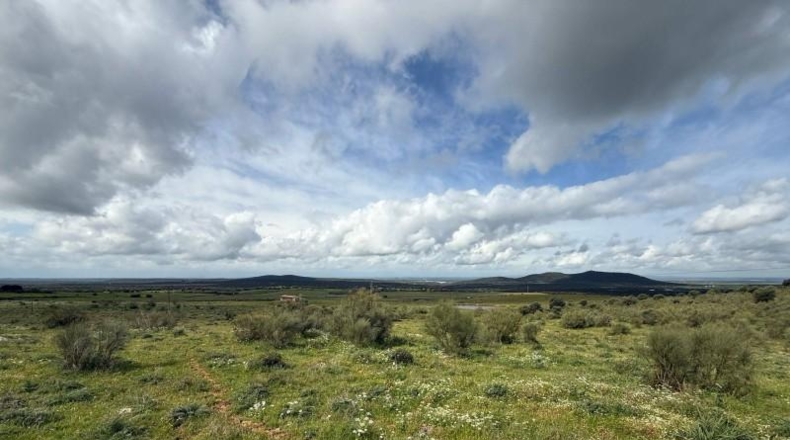 Badajoz - Olivenza - 6440m2