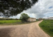 Xalet independent amb terreny en venda a la España, San Rafael de Olivenza, ref.: TR282218 foto