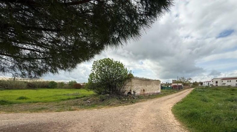 Badajoz - Olivenza - 6440m2