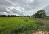 Xalet independent amb terreny en venda a la España, San Rafael de Olivenza, ref.: TR282218 foto