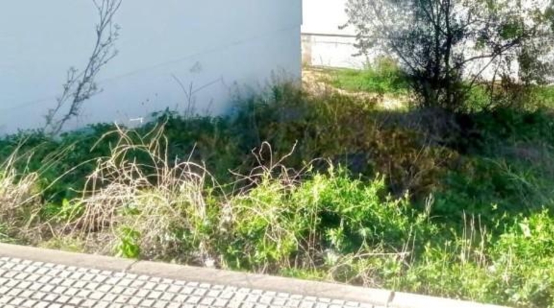 Cádiz - Ubrique - 104m2