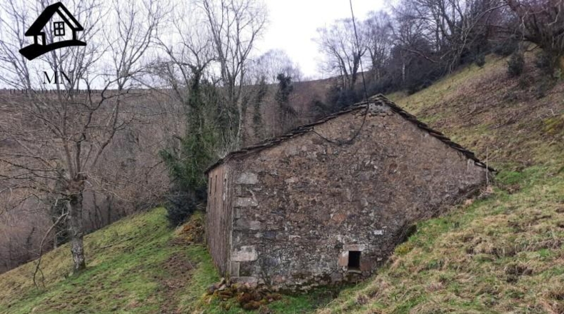 Cantabria - San Pedro del Romeral - 27413m2