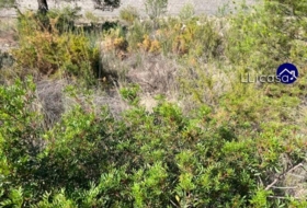 Casinos 840&nbsp;m² 