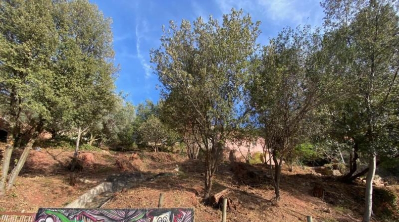 Barcelona - Corbera de Llobregat - 650m2