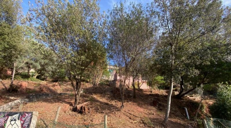 Barcelona - Corbera de Llobregat - 650m2