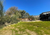 Land suitable for development for sale on España, O Porriño, ref: TR117061 photo