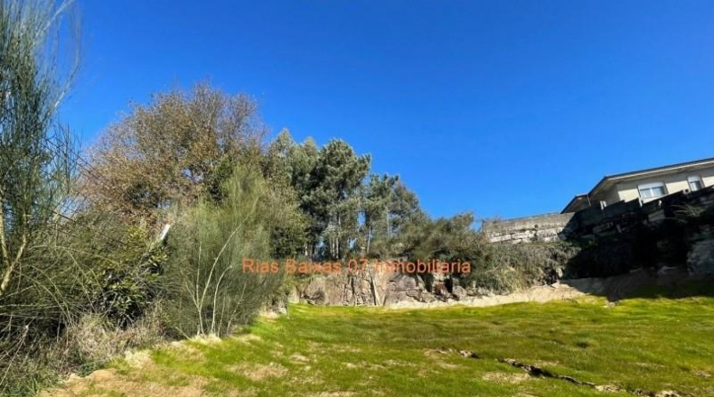 Pontevedra - Porriño - 1232m2