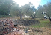Terreno no urbanizable en venta en la España, el Perelló, ref: TR112858 foto