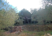 Terreno no urbanizable en venta en la España, el Perelló, ref: TR112858 foto