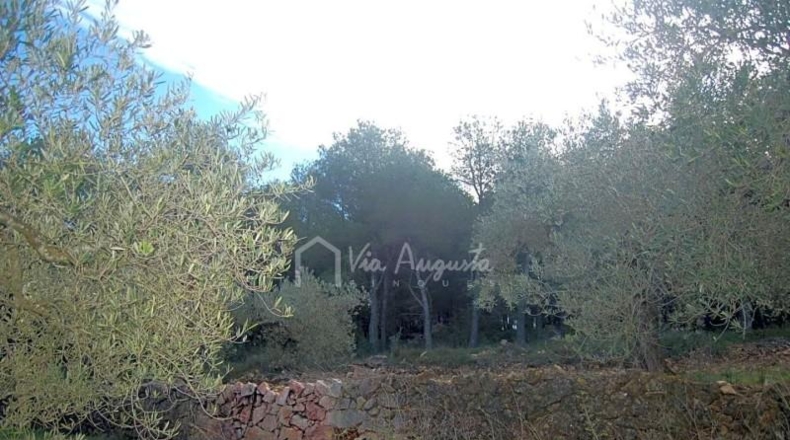Tarragona - el Perelló - 13520m2