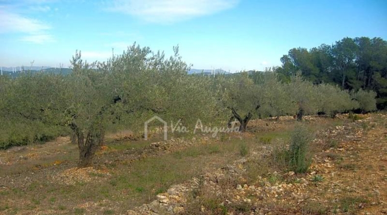Tarragona - el Perelló - 13520m2