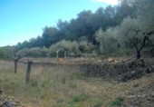 Terreno no urbanizable en venta en la España, el Perelló, ref: TR112858 foto